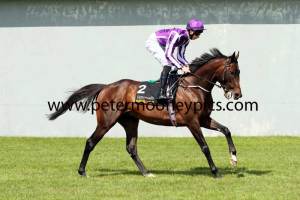 camelot-pml-00125860 camelot-pml-00125860