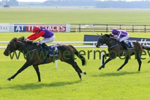 romanised-260518pml0458 romanised-260518pml0458