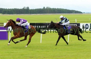 minding-260616pml0587