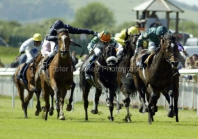 Araafa PMOO340789.jpg Araafa PMOO340789.jpg