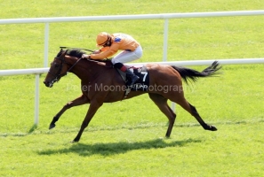 Samitar-PML 00186886 Samitar-PML 00186886