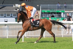 Samitar-PML 00186864