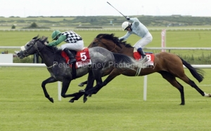 Grey Swallow PML0001304.jpg Grey Swallow PML0001304.jpg