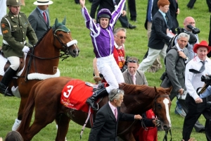 Cape Blanco PML 00126898.JPG Cape Blanco PML 00126898.JPG