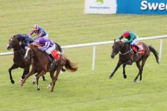 Cape Blanco PML 00.126835JPG