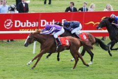 Cape Blanco PML 00126851.JPG