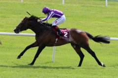 Amhran-Na-Bhfiann-270621PML1221