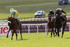 Effernock-Fizz-270621PML1232