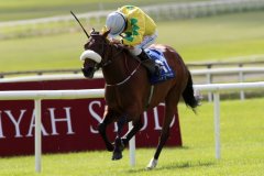 Effernock-Fizz-270621PML1246