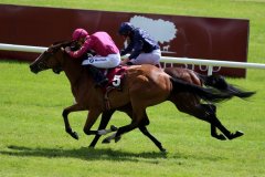 Thundering-Nights-270621PML1170