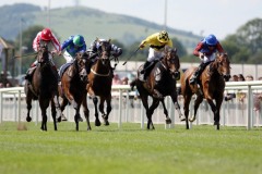 Elletelle PML 0071501.JPG