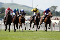 Elletelle PML 0071502.JPG