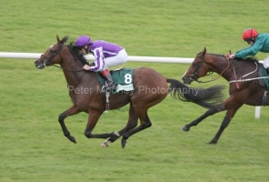 St Nicholas Abbey PML 00100982.JPG St Nicholas Abbey PML 00100982.JPG