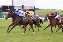 Dohasa PML 00101061.JPG