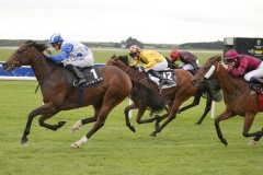 Dohasa PML 00101064.JPG