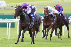 Hawk Mountain 270925PML0759.jpg