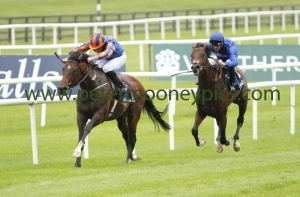 churchill-270517pml0548 churchill-270517pml0548