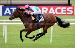 Promising Lead PML 0068913.JPG Promising Lead PML 0068913.JPG