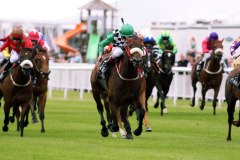 Impossible Dream PML 0068773.JPG