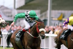 Impossible Dream PML 0068786.JPG