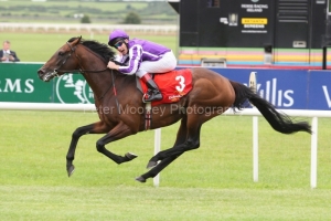 Fame And Glory PML 0095577.JPG Fame And Glory PML 0095577.JPG