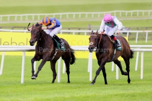 Whirl 280625PML0635.jpg