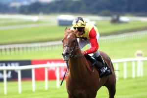 Bible Belt-PML 00163318 Bible Belt-PML 00163318