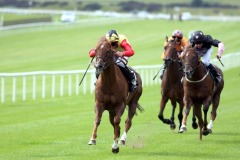 Amour Propre-PML 00163307