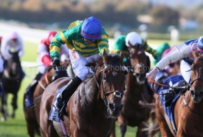 Puturhandstogether 280925PML0946.jpg