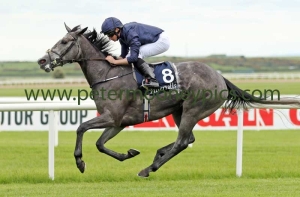 winter-280517pml0962 winter-280517pml0962