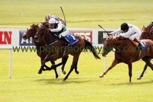 diamondsandrubies-280615pml818 diamondsandrubies-280615pml818