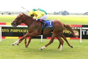 sea-of-grace-280816pml0398 sea-of-grace-280816pml0398