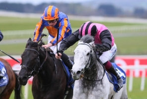 Big Gossey 290325PML1146.jpg Big Gossey 290325PML1146.jpg