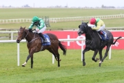 J M's Joy 290325PML1185.jpg