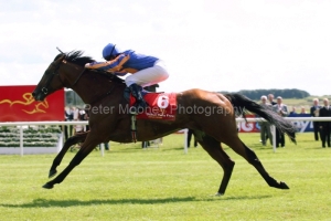 Frozen Fire PML 0069122.JPG Frozen Fire PML 0069122.JPG