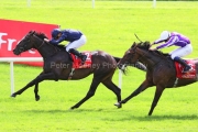 Lambourn 290625PML1018.jpg