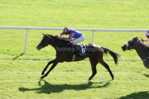 Misty For Me PML 00132291.JPG Misty For Me PML 00132291.JPG