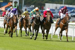 Anam Alta PML 00132097.JPG