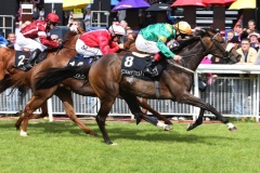 Anam Alta PML 00132110.JPG