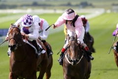 Dingle View PML 00132151.JPG