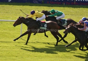 Sea The Stars PML 0076854.JPG Sea The Stars PML 0076854.JPG