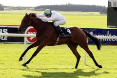 Chintz PML 0077049.JPG