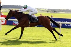 Chintz PML 0077053.JPG