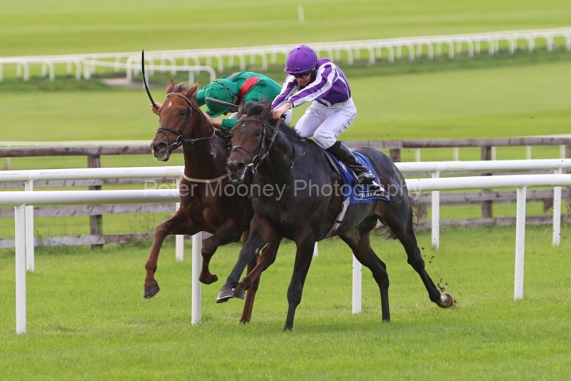 29 September 2019;  INNISFREE, Donnacha O'Brien up, nearside just shades the verdict over Shekhem, Chris Hayes up, in The Beresford Stakes at The Curragh.      © Peter Mooney, 59 Upper George's Street, Dun Laoghaire, Co. Dublin A96 H2R3, Ireland.    Tel:  00 353 (0)86 2589298