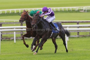 29 September 2019;  INNISFREE, Donnacha O'Brien up, nearside just shades the verdict over Shekhem, Chris Hayes up, in The Beresford Stakes at The Curragh.      © Peter Mooney, 59 Upper George's Street, Dun Laoghaire, Co. Dublin A96 H2R3, Ireland.    Tel:  00 353 (0)86 2589298