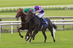 29 September 2019;  INNISFREE, Donnacha O'Brien up, nearside just shades the verdict over Shekhem, Chris Hayes up, in The Beresford Stakes at The Curragh.      © Peter Mooney, 59 Upper George's Street, Dun Laoghaire, Co. Dublin A96 H2R3, Ireland.    Tel:  00 353 (0)86 2589298