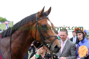 gleneagles-290614pml0682 gleneagles-290614pml0682
