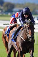 geoffrey-chaucer-pml-00138682 geoffrey-chaucer-pml-00138682