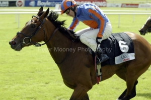 Peeping Fawn PML 0042261.jpg Peeping Fawn PML 0042261.jpg