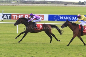 Camelot-PML 00190164 Camelot-PML 00190164